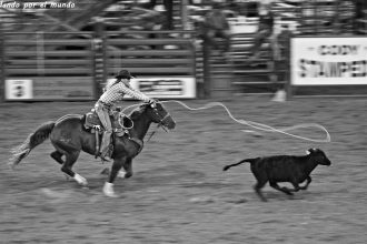 Rodeo