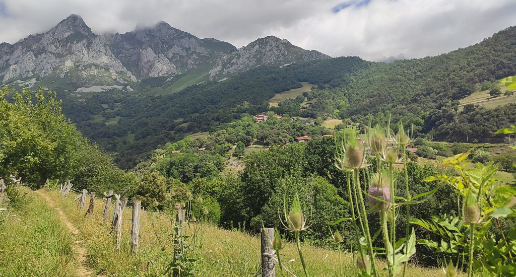 Mogrovejo y ruta Bajo los Picos