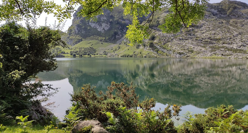 Lagos de Covadonga