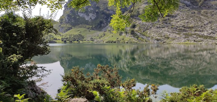 Lagos de Covadonga